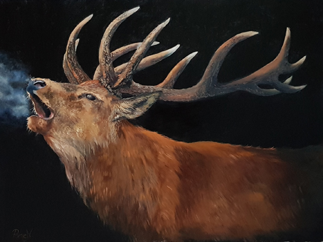 Bikabőgés 60x80
